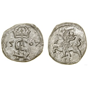 Poland, dwudenar, 1567, Vilnius
