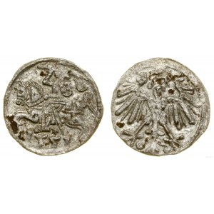 Poland, denarius, 1551, Vilnius