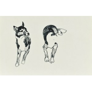 Ludwik MACIĄG (1920-2007), Sketches of a dog
