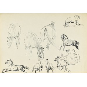 Ludwik MACIĄG (1920-2007), Croquis de chevaux dans diverses vues
