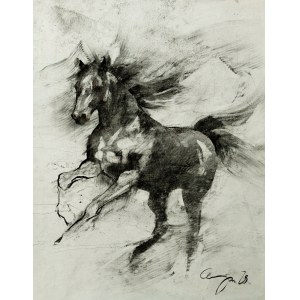 Anita Cempa, Equestrian 02/24