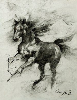 Anita Cempa, Equestrian 02/24