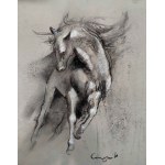 Anita Cempa, Equestrian 03/24
