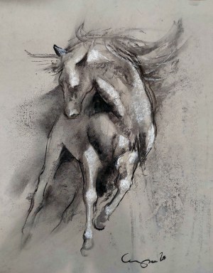 Anita Cempa, Equestrian 03/24