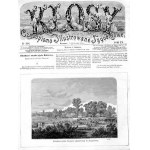 Franciszek Wastkowski: Terespol. Kwarantanna wołów stepowych, drzeworyt 1872 p. Biała Podlaska