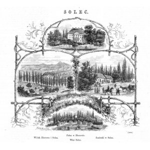 Franciszek Wastkowski: Solec-Zdrój i Zborów, drzeworyt 1873 p. Busko-Zdrój