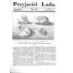Dźwina, Dzisna, litografia 1843 p. Głębokie i Połock Białoruś