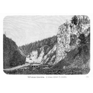 Ojców. Widok Ojcowa, drzeworyt 1883 p. Kraków