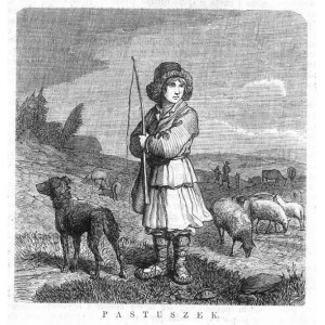 Litwa. Wiłkomierz okolice. Wojciech Gerson: Pastuszek, drzeworyt 1864