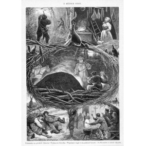 Józef Ryszkiewicz starszy: Pińszczyzna Litwa Żmudź Mazowsze, drzeworyt 1883