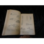 Anatomia Czekanowski 1930 Wiadomości z anatomji i fizjologji 1930 Tołwińska Gądzikiewicz Czekanowski anatomii