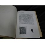 Nowiny Lekarskie Rocznik XLI 1931