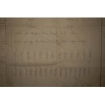 Drzewo genealogiczne rodziny Bańkowskich [Pодословная роди Банъковскихъ], herb Gryf [B]