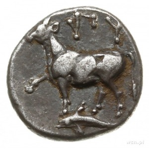 stater (sigloi) 416-357 p.n.e.; Aw: Byk kroczący w lewo...