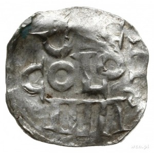 denar 1002-1024, Kolonia; Krzyż prosty z kulkami w kąta...