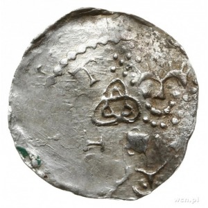 denar 1002-1024, Kolonia; Rozeta trójlistna i popiersie...