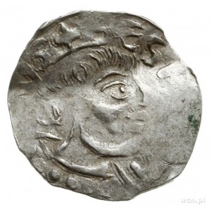 denar ok. 1020-1030, Würzburg; popiersie w prawo, SCS K...