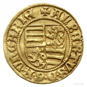 goldgulden 1438, Krzemnica (Körmöcbanya), mincerz Rudel...