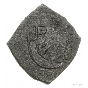 grosz - klipa bez daty (1520-1521); Aw: Tarcza wielkieg...