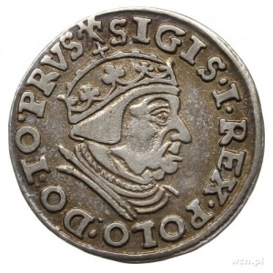 trojak 1539, Gdańsk; końcówka napisu na awersie PRVS, i...