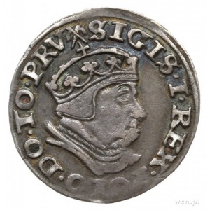 trojak 1540, Gdańsk; końcówka napisu PRV, trójlistki po...