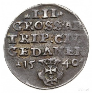 trojak 1540, Gdańsk; końcówka napisu PRV, trójlistki po...