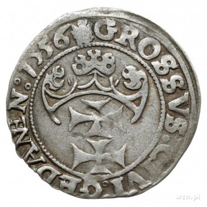 grosz 1556, Gdańsk; mała głowa króla, końcówka napisu P...