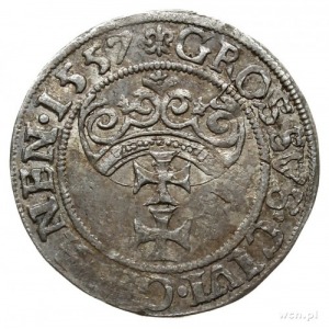 grosz 1557, Gdańsk; typ z dużą głową króla i końcówką n...