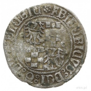 grosz z niepełną datą 15-5 (1505), Legnica; Aw: Tarcza ...