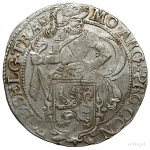 talar lewkowy (Leeuwendaalder) 1648, znak menniczy herb...