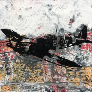 Bartosz Pszon, Aircraft, 2019
