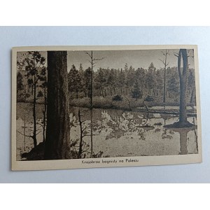 POSTCARD POLESIE, SWAMPY LANDSCAPE, SWAMP, SWAMPS, PRE-WAR