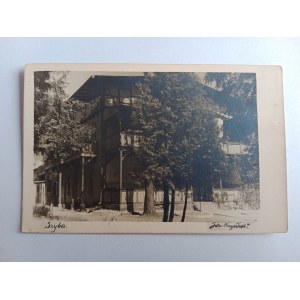 POSTCARD PANE NEW SÓL LUBUSKIE FOTO FUTURE