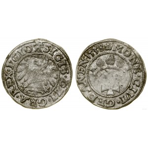 Poland, sheląg, 1538, Gdansk