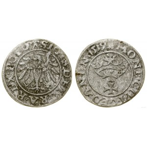 Poland, sheląg, 1539, Gdansk