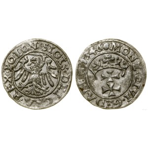 Poland, sheląg, 1546, Gdansk
