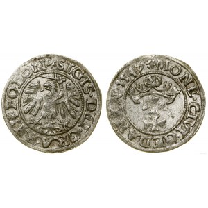 Poland, sheląg, 1547, Gdansk