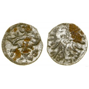 Poland, denarius, 1556, Gdansk