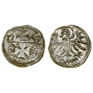 Polska, denar, 1557, Elbląg