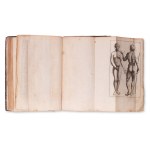 KULMUS, Johann Adam (1689 - 1745): Anatomische Tabellen