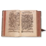 MATTHIOLI, Petri Andreae (1501 - 1577): New Kreuterbuch