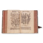MATTHIOLI, Petri Andreae (1501 - 1577): New Kreuterbuch