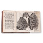 [PLUCHE, Antoine] (1688 - 1761): Le spectacle de la nature I.