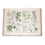 WILLKOMM, Moritz (1821 - 1895): Naturgeschichte des Pflanzenreichs