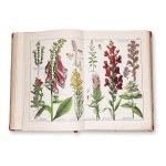 WILLKOMM, Moritz (1821 - 1895): Naturgeschichte des Pflanzenreichs