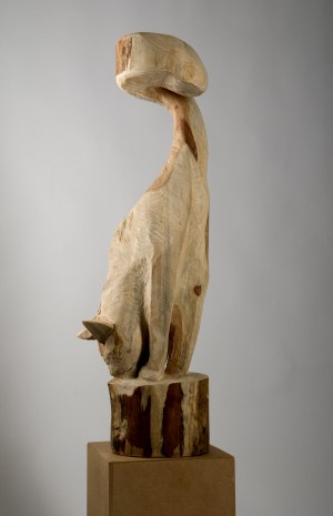 Miłosz Płonka (ur.1969)