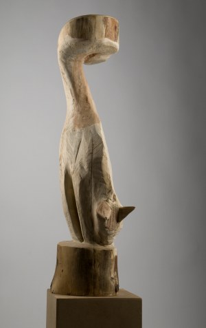 Miłosz Płonka (ur.1969)