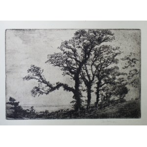 Joseph Pankiewicz(1866-1940),Old trees near Rouen,1906