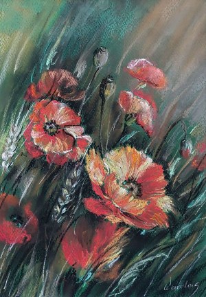 Urszula Wardas, Maki wśród zbóż, 2008