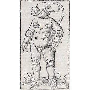 KRAKÓW. Monstrum urodzone w Krakowie; karta z: S. Münster, Cosmographia […], wyd. H. Petri, 1544-1628.